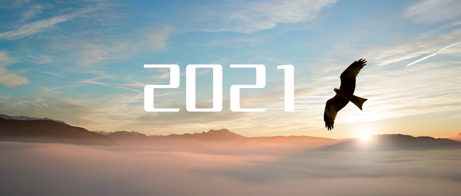 乘“峰”而上，智“盈”未来 ——2021年710公海寰宇环境高级资深副总裁新年开工动员